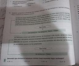 196
7
Altı çizili söz grubunun cümledeki
Gıdakilerden hangisidir?
A) Nesne
G) Yer tamlayıcısı
B) Zarf tamlayıcısı
D) Yüklem
D) Yemeğe çıktılar
10. Aşağıdaki paragrafların altında bazı öge dizilişleri verilmiştir. Bu öge dizilişlerinin, belirtilen paragraflar
hangi cümlelerine ait olduklarını bulunuz.
(1) Alanında saygın akademisyenlerin, doktora, yüksek lisans ve lisans öğrencilerinin Kent Kitab
anıları, deneyimleri, mülakatlara dayalı verileri, sanatçılarla söyleşileri de içeriyor. (IV) Bugün kim
için kaleme aldığı yazılar çok değerli. (II) Bu metinler akademik sınır içinde kalmamış. (1) Kişise
olduğumuza kentle birlikte bakmak isteyenler için birebir. (V) Kentteki her türden değişimi irdele
yerek kendi serüvenini belirlemek isteyenlere eşsiz bir yolculuk sunuyor.
Öge Dizilişi
Zarf tamlayıcısı - Yer tamlayıcısı - Nesne - Yüklem
(a) Mektupların kimisi eski harflerle yazılmış. (b) Okudukça o yitik dostlar, anılarımda daha da
cana yakın hâle gelmiş sesleriyle konuşmaya başlıyorlar benimle. (c) Oldukça eski bir dille ken.
dilerinden söz açıyorlar. (d) Hazırlamayı tasarladıkları eserlerden söz ediyorlar. (e) Sevdikleri ya
da sevmedikleri yazarları bol bol çekiştiriyorlar.
Öge Dizilişi
Yer tamlayıcısı - Yüklem
Şemadaki öge dizilişlerini karşılayan cümleler hangi seçenekte doğru verilmiştir?
A) III - c
B) V-d
C) III-a
D) Il-b
2.
Ço
çık
ce
B
S
A