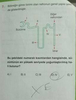 7. Böbreğin görev birimi olan nefronun genel yapısı şekil
de gösterilmiştir.
Süzülme
A) I
|||-
IV
B) II C) III
Diğer
nefrondan
Bu şekildeki numaralı kısımlardan hangisinde, sü-
züntünün en yüksek seviyede yoğunlaştırılmış ha-
li bulunur?
E
x
İdrar
V
D) IV
E) V