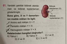 61. Yandaki şekilde böbrek atarda-
mari ve böbrek toplardamarı
gösterilmiştir.
Buna göre, X ve Y damarları-
nın madde miktarı ile ilgili;
X. Amino asit miktarı X > Y
H. Penisilin miktarı Y > X
Hemoglobin miktarı Y = X
ifadelerinden hangileri doğrudur?
A) Yalnız I
B) Yalnız II
D) II ve III
Böbrek
atardamarı (X)
E) I, II ve III
Böbrek
toplardamarı (Y)
C) I ve III