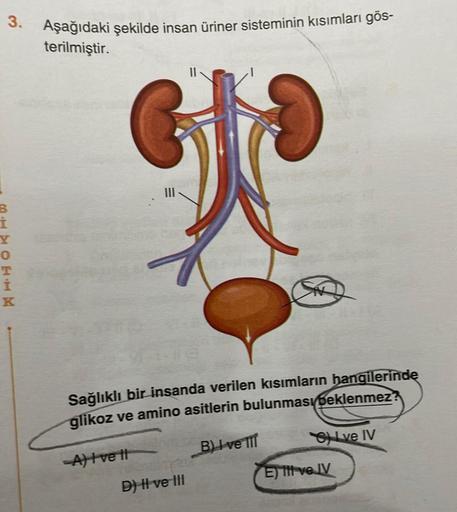 3. Aşağıdaki şekilde insan üriner sisteminin kısımları gös-
terilmiştir.
i
O
ETE
Sağlıklı bir insanda verilen kısımların hangilerinde
glikoz ve amino asitlerin bulunması beklenmez?
B) I ve III
-A) I vett
D) -HI ve III
6) Lve IV
E) lit ve JV