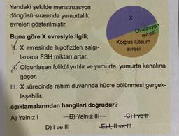 Yandaki şekilde menstruasyon
döngüsü sırasında yumurtalık
evreleri gösterilmiştir.
X
Buna göre X evresiyle ilgili;
X evresinde hipofizden salgı-
lanana FSH miktarı artar.
Olgunlaşan folikül yırtılır ve yumurta, yumurta kanalına
-B) Yalnız III
D) I ve III
Ovulasyon
evresi
geçer.
III. X sürecinde rahim duvarında hücre bölünmesi gerçek-
leşebilir.
açıklamalarından hangileri doğrudur?
A) Yalnız I
Korpus luteum
evresi
-C)Ivett
-E) I, II ve III