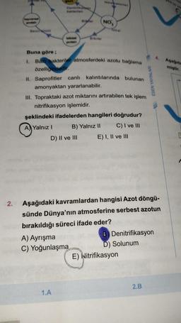 protein
Besin incin
Denitrifikalyon
bakterileri
bitkisel
protein
Bigfer
D) II ve III
Bitkiler
Buna göre;
1.
Bazı bakteriler atmosferdeki azotu bağlama
özelliğindedir.
II. Saprofitler canlı kalıntılarında bulunan
amonyaktan yararlanabilir.
1.A
Po
III. Topraktaki azot miktarını artırabilen tek işlem
nitrifikasyon işlemidir.
A) Ayrışma
C) Yoğunlaşma
NO
şeklindeki ifadelerden hangileri doğrudur?
A Yalnız I
B) Yalnız II
C) I ve III
E) I, II ve III
2. Aşağıdaki kavramlardan hangisi Azot döngü-
sünde Dünya'nın atmosferine serbest azotun
bırakıldığı süreci ifade eder?
ESEN YAYINLARI
E) Nitrifikasyon
ALLER
B Denitrifikasyon
D) Solunum
2.B
Aşağıda
miştir.
E