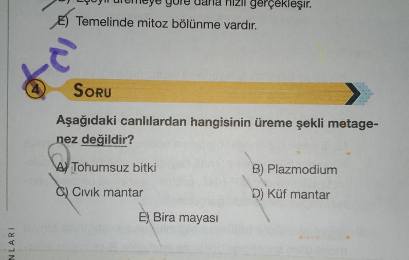 NLARI
4
hızlı gerçekleşir.
E) Temelinde mitoz bölünme vardır.
SORU
Aşağıdaki canlılardan hangisinin üreme şekli metage-
nez değildir?
A Tohumsuz bitki
C) Civik mantar
E) Bira mayası
B) Plazmodium
D) Küf mantar