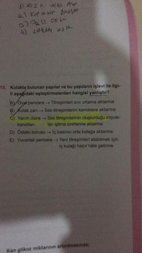 115 h. dels Av
21 Kre our fosser
072li orf
(4) LOKAN Ost
10. Kulakta bulunan yapılar ve bu yapıların işlevi ile ilgi-
li aşağıdaki eşleştirmelerden hangisi yanlıştır?
Ovalpencere →→ Titreşimleri Sıvı ortama aktarma
B) Kulak zan→ Ses titreşimlerini kemikler