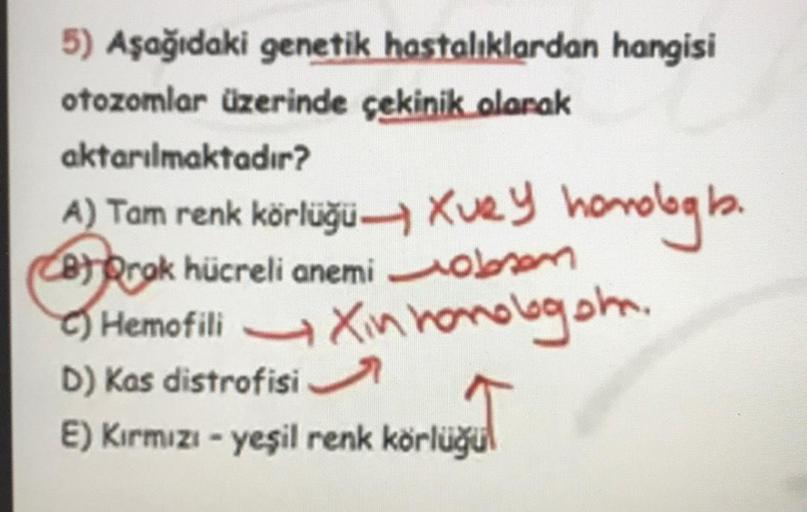 5) Aşağıdaki genetik hastalıklardan hangisi
otozomlar üzerinde çekinik olarak
aktarılmaktadır?
A) Tam renk körlüğü Xuey homologh.
Corak hücreli anemi obom
C) Hemofili Xin homologom.
D) Kas distrofisi
wut
E) Kırmızı-yeşil renk körlüğü