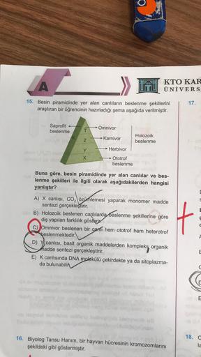 A
15. Besin piramidinde yer alan canlıların beslenme şekillerini
araştıran bir öğrencinin hazırladığı şema aşağıda verilmiştir.
tevis
nanu
Saprofit
beslenme
T
Z
- neystal
Y
X
Omnivor
Karnivor
→ Herbivor
Ototrof
beslenme
KTO KAR
ÜNİVERS
Holozoik
beslenme
Bu