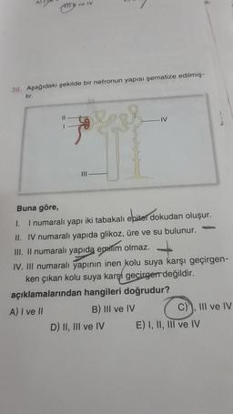 ve IV
36. Aşağıdaki şekilde bir nefronun yapısı şematize edilmiş-
tir.
1.
|||
Buna göre,
I numaralı yapı iki tabakalı epitel do
II. IV numaralı yapıda glikoz, üre ve su bulunur.
IV
D) II, III ve IV
ik-
dokudan oluşur.
III. II numaralı yapıda emilim olmaz.
IV. III numaralı yapının inen kolu suya karşı geçirgen-
ken çıkan kolu suya karşı geçirgen değildir.
açıklamalarından hangileri doğrudur?
A) I ve II
B) III ve IV
C), III ve IV
E) I, II, III ve IV