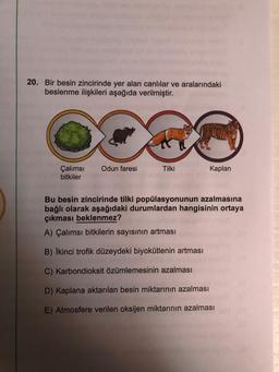 20. Bir besin zincirinde yer alan canlılar ve aralarındaki
beslenme ilişkileri aşağıda verilmiştir.
Çalımsı Odun faresi
bitkiler
Tilki
Kaplan
Bu besin zincirinde tilki popülasyonunun azalmasına
bağlı olarak aşağıdaki durumlardan hangisinin ortaya
çıkması beklenmez?
A) Çalımsı bitkilerin sayısının artması
B) İkinci trofik düzeydeki biyokütlenin artması
C) Karbondioksit özümlemesinin azalması
D) Kaplana aktarılan besin miktarının azalması
E) Atmosfere verilen oksijen miktarının azalması