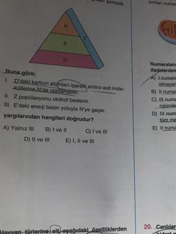 N
E
Buna göre;
1. D'deki karbon atomları işaretli amino asit mole-
küllerine N'de rastlanabilir.
şemada
II. Z popülasyonu ototrof beslenir.
III. E'deki enerji besin yoluyla N'ye geçer.
yargılarından hangileri doğrudur?
A) Yalnız III B) I ve II
D) II ve III
C) I ve III
E) I, II ve III
Hayvan türlerine ait aşağıdaki özellliklerden
sımları numar
GU
Numaraland
ifadelerden
A) Inumara
olmayar
B) Il numar
C) III numa
rolünde
D) IV num
tüm me
E) Il numa
20. Canlılar
hidrot