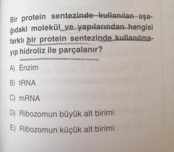 Bir protein sentezinde kullanılan aşa-
ğıdaki molekül ve yapılarından hangisi
farklı bir protein sentezinde kullanılma-
yıp hidroliz ile parçalanır?
A) Enzim
B) tRNA
C) mRNA
D) Ribozomun büyük alt birimi
E) Ribozomun küçük alt birimi
parbrad