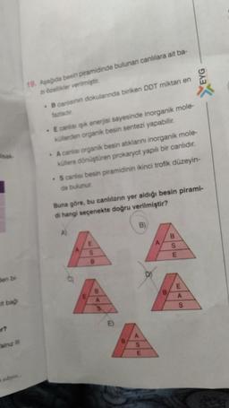 den bi
it bağ
ar?
ainuz ill
ediyor...
19. Aşağıda besin piramidinde bulunan canlılara ait ba-
z özellikler verilmiştir.
• B canlisinin dokularında biriken DDT miktarı en
fazladır.
E canlısı işik enerjisi sayesinde inorganik mole-
küllerden organik besin sentezi yapabilir.
• A canlisi organik besin atıklarını inorganik mole-
küllere dönüştüren prokaryot yapılı bir canlıdır.
. S canlısı besin piramidinin ikinci trofik düzeyin-
de bulunur.
Buna göre, bu canlıların yer aldığı besin pirami-
di hangi seçenekte doğru verilmiştir?
A)
E
S
B
B
A
S
E)
B
B)
A
S
E
D₁
A
B
S
E
E
A
B
A