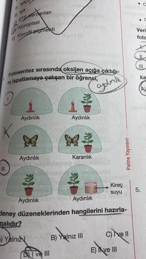 A) NAL
B) Işık
ETS elemanları
Kloroplast
Klorofil pigmenti
Fotosentez sırasında oksijen açığa çıktığı-
ni ispatlamaya çalışan bir öğrenci,
golnik
X
III.
Aydınlık
Aydınlık
Aydınlık
Yalnız
Aydınlık
pobleger
DI ve III
Karanlık
201
Aydınlık
deney düzeneklerind