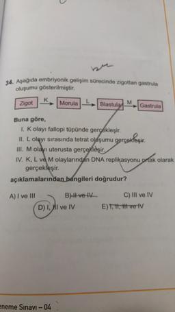 34. Aşağıda embriyonik gelişim sürecinde zigottan gastrula
oluşumu gösterilmiştir.
Zigot
K
A) I ve III
Morula
Buna göre,
I. K olayı fallopi tüpünde gerçekleşir.
II. L olayı sırasında tetrat oluşumu gerçekleşir.
III. M olayı uterusta gerçekleşir.
eneme Sınavı - 04
Blastula
IV. K, L ve M olaylarından DNA replikasyonu ortak olarak
gerçekleşir.
açıklamalarından bangileri doğrudur?
B) II ve IV
D) I, II ve IV
M
Gastrula
C) III ve IV
E) T, tt, ttt ve V