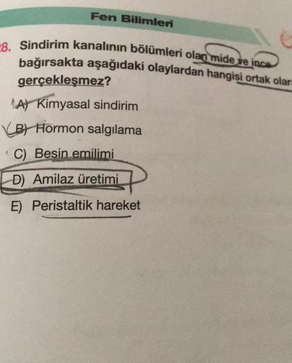 Fen Bilimleri
28. Sindirim kanalının bölümleri olan mide ve ince
bağırsakta aşağıdaki olaylardan hangisi ortak olara
gerçekleşmez?
A) Kimyasal sindirim
B) Hormon salgılama
C) Besin emilimi
D) Amilaz üretimi
E) Peristaltik hareket