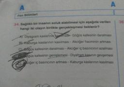 A
34. Sağlıklı bir insanın soluk alabilmesi için aşağıda verilen
hangi iki olayın birlikte gerçekleşmesi beklenir?
A
AT Diyagram kaslarinin amas Göğüs kafesinin daralması
B) Kaburga kaslarının kasılması- Akciğer hacminin artmasi
CLGöğüs kafesinin daralması- Akciğer iç basıncının azalması
öğüs kafesinin genişlemesi - Diyafram kasının gevşemesi
ciğer iç basıncının artması - Kaburga kaslarının kasılması
n
36