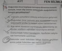 33
AYT
FEN BİLİMLE
Doğumdan önce başlayıp menopoz dönemine kadarki
süreçte, insan dişi üreme sisteminde aşağıdakilerin
hangisi gerçekleşmez?
Vajinada yumurtanın döllenip embriyonun gelişmesi
B) Doğumdan önce yumurta ana hücrelerinin mayoz
bölünmenin profaz l'e kadarki süreci tamamlaması
C) Ana rahmi duvarının sıyrılmasıyla döllenmemiş se-
konder oositlerin vajinadan vücut dışına atılması
D) Ovaryumdaki folikül hücrelerinin, hipofizden salgıla-
nan hormonlarla uyarılması
E Sekonder oosit folikülden fallopi tüpüne geçtikten
sonra patlak folikülden sarı cismin oluşması