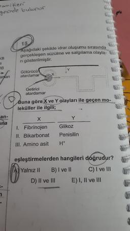 amiteri
gesinde bulunur.
KB
e
OB
anlan
an-
ina
n
15,
Aşağıdaki şekilde idrar oluşumu sırasında
gerçekleşen süzülme ve salgılama olayla-
ri gösterilmiştir.
Götürücü
atardamar
Getirici
atardamar
Buna göre X ve Y olayları ile geçen mo-
leküller ile ilgili;
X
1. Fibrinojen
II. Bikarbonat
III. Amino asit
Y
D) II ve III
Y
Glikoz
Penisilin
H*
eşleştirmelerden hangileri doğrudur?
Yalnız II
B) I ve II
C) I ve III
E) I, II ve III