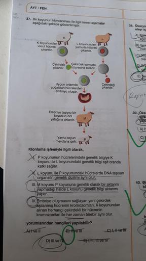 AYT / FEN
37. Bir koyunun klonlanması ile ilgili temel aşamalar
aşağıdaki şekilde gösterilmiştir.
K koyunundan
vücut hücresi
çıkartılır.
K
Çekirdek
çıkartılır.
L koyunundan
yumurta hücresi
çıkartılır.
Çekirdek yumurta
hücresine eklenir.
Uygun ortamda
çoğal