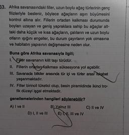 33. Afrika savanasındaki filler, uzun boylu ağaç türlerinin genç
filizleriyle beslenir, böylece ağaçların aşırı büyümesini
kontrol altına alır. Fillerin ortadan kalkması durumunda
boyları uzayan ve geniş yapraklara sahip bu ağaçlar alt-
taki daha küçük ve kısa ağaçların, çalıların ve uzun boylu
otların ışığını engeller, bu durum çayırların yok olmasına
ve habitatın yapısının değişmesine neden olur.
Buna göre Afrika savanasıyla ilgili;
1. Filler savananın kilit taşı türüdür.
II. Fillerin ortadan kalkması süksesyona yol açabilir.
III. Savanada bitkiler arasında tür içi ve türler arası rekabet
yaşanmaktadır.
IV. Filler birincil tüketici olup, besin piramidinde ikinci tro-
fik düzeyi işgal etmektedir.
genellemelerinden hangileri söylenebilir?
A) I ve II
B) Yalnız III
D) I, II ve III
E) INNI, III ve IV
C) II ve IV