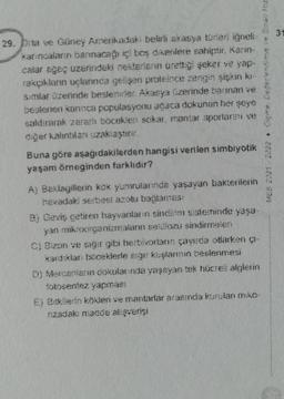 29. Orta ve Güney Amerikadaki belirli akasya türleri iğneli
karıncaların barınacağı içi boş dikenlere sahiptir. Kanin-
calar ağaç uzerindeki nektariann ürettiği şeker ve yap-
rexçıklanın uçlannda gelişen proteince zengin şişkin ki-
s:mlar üzerinde beslenirler. Akasya üzerinde barnan ve
beslenen karınca populasyonu agaca dokunan her şeye
saldırarak zarar bocekien sckar, mantar sporlarını ve
diğer kalıntılan uzaklaştırır.
Buna göre aşağıdakilerden hangisi verilen simbiyotik
yaşam örneğinden farklıdır?
A) Beklagillerin kök yumrularında yaşayan bakterilerin
havadaki serbest azotu baglamas:
B) Geviş getiren hayvanların sindirim sisteminde yaşa
yan mikroorganizmaların selülozu sindirmelen
C) Bizon ve siğer gibi herbivorlans çayırda otlarken g-
kardıklar: böceklerle sige kuşlarının beslenmesi
D) Mercaniann dokularında yaşayan tek hücrell alglerin
fotosentez yapması
MES 2021 2022 Giçme. Deherlendirme ve Binay fuz
E) Bitkilerin kökleri ve mantarlar arasında kurulan misc-
nzadaki madde alışverişi