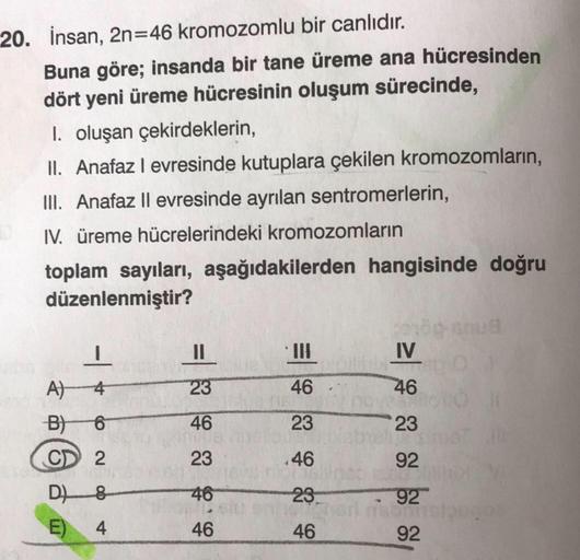 20. İnsan, 2n=46 kromozomlu bir canlıdır.
Buna göre; insanda bir tane üreme ana hücresinden
dört yeni üreme hücresinin oluşum sürecinde,
I. oluşan çekirdeklerin,
II. Anafaz I evresinde kutuplara çekilen kromozomların,
III. Anafaz II evresinde ayrılan sentr