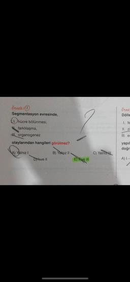 Örnek: 1
Segmentasyon evresinde,
hücre bölünmesi,
farklılaşma,
Horganogenez
olaylarından hangileri görülmez?
A) Yalnız I
Drive II
B) Yalqız II
E) ve III
C) Yalnız
Örne
Dölle
1. fe
II. zi
Ill. er
yapıl
doğr
A) I-