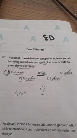 Amino asit
A SD
Fen Bilimleri
Amin
31. Aşağıdaki moleküllerden hangisinin böbrek kanal-
larından kan kılcallarına emilimi sırasında aktif ta-
şıma gerçekleşmez?
D) Potasyum
A
B) Üre
A
C) Glikoz
E) Sodyum
Aşağıdaki tabloda bir insan vücudunda genlerin etki-
si ile sentezlenen bazı moleküller ve üretim yerleri ve-
rilmiştir.