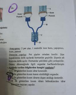 ağıdaki
lır.
F.
artar.
oksijen
14.
Kum-
Pamuk
D
C
B
A
Kum
Pamuk
Araç-gereç: 2 pet şişe, 1 metrelik ince boru, yapıştırıcı,
kum, pamuk
Deneyin yapılışı: Pet şişeler ortadan kesilir. Şişe
kapaklarına delik açılarak hortumlar geçirilir. Şişenin alt
kısmına delik açılır. Hortumlar şekildeki gibi yerleştirilir.
Deney düzeneğinde ilgili organlar harflendirilmiştir.
Aşağıda verilen bilgilerden hangisi yanlıştır?
A) Cile gösterilen kısım idrar kesesidir.
Bile gösterilen kısım kanın süzüldüğü organdır.
Dile gösterilen kısım idrarın dışarı atıldığı üreterdir.
D) B ile gösterilen kısım idrarı böbreklerden idrar
kesesine taşıyan yapıdır.