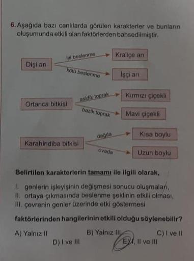 6. Aşağıda bazı canlılarda görülen karakterler ve bunların
oluşumunda etkili olan faktörlerden bahsedilmiştir.
Dişi arı
iyi beslenme
kötü beslenme
Ortanca bitkisi
Karahindiba bitkisi
A) Yalnız II
asidik toprak Kırmızı çiçekli
bazik toprak
D) I ve Ill
dağda