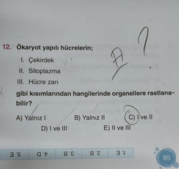 12. Ökaryot yapılı hücrelerin;
1. Çekirdek
II. Sitoplazma
III. Hücre zarı
gibi kısımlarından hangilerinde organellere rastlana-
bilir?
A) Yalnız I
3'9
D) I ve III
at
B) Yalnız II
88
82
C) I ve II
E) II ve III
31
95