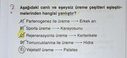 2. Aşağıdaki canlı ve eşeysiz üreme çeşitleri eşleştir-
melerinden hangisi yanlıştır?
A Partenogenez ile üreme →→→ Erkek arı
B) Sporla üreme →→→→ Karayosunu
Rejenerasyonla üreme →→→→ Kertenkele
D) Tomurcuklanma ile üreme →→→ Hidra
E) Vejetatif üreme Patates