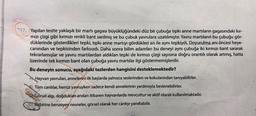 17. Yapılan testte yaklaşık bir martı gagası büyüklüğündeki düz bir çubuğa tıpkı anne martıların gagasındaki kır-
mızı çizgi gibi kırmızı renkli bant sarılmış ve bu çubuk yavrulara uzatılmıştır. Yavru martıların bu çubuğu gör-
düklerinde gösterdikleri tepki, tıpkı anne martıyı gördükleri an ile aynı tepkiydi. Doyurulma anı öncesi heye-
canından ve tepkisinden farksızdı. Daha sonra bilim adamları bu deneyi aynı çubuğa iki kırmızı bant sararak
tekrarlamışlar ve yavru martılardan aldıkları tepki de kırmızı çizgi sayısına doğru orantılı olarak artmış, hatta
üzerinde tek kırmızı bant olan çubuğa yavru martılar ilgi göstermemişlerdir.
Bu deneyin sonucu, aşağıdaki tezlerden hangisini desteklemektedir?
A Hayvan yavruları, annelerini ilk başlarda yalnızca seslerinden ve kokularından tanıyabilirler.
3) Tüm canlılar, henüz yavruyken sadece kendi annelerinin yardımıyla beslenebilirler.
Görsel algı, doğdukları andan itibaren hayvanlarda mevcuttur ve aktif olarak kullanılmaktadır.
D) Birbirine benzeyen nesneler, görsel olarak her canlıyı yanıltabilir.