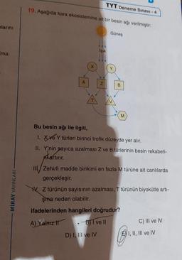 larını
Ima
MİRAY YAYINLARI
19. Aşağıda kara ekosistemine ait bir besin ağı verilmiştir:
A
X
TYT Deneme Sınavı - 4
Işık
Z
D) I, III ve IV
Güneş
B
M
Bu besin ağı ile ilgili,
1. ve Y türleri birinci trofik düzeyde yer alır.
II. Y'nin sayıca azalması Z ve B türlerinin besin rekabeti-
ni artırır.
III./ Zehirli madde birikimi en fazla M türüne ait canlılarda
gerçekleşir.
V. Z türünün sayısının azalması, T türünün biyokütle artı-
şma neden olabilir.
ifadelerinden hangileri doğrudur?
A) Yalnız II
.-B) I ve II
C) III ve IV
EI, II, III ve IV