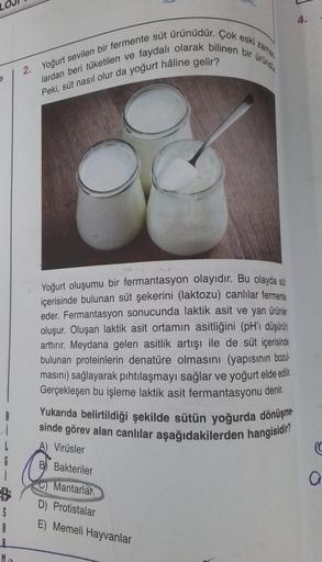 9
B
i
S
A
R
Ma
2. Yoğurt sevilen bir fermente süt ürünüdür. Çok eski zaman
lardan beri tüketilen ve faydalı olarak bilinen bir üründür.
Peki, süt nasıl olur da yoğurt hâline gelir?
Yoğurt oluşumu bir fermantasyon olayıdır. Bu olayda sit
içerisinde bulunan