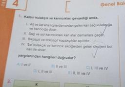 TES
2.
[
1. Kalbin kulakçık ve karıncıkları gevşediği anda,
L Alt ve üst ana toplardamardan gelen kan sağ kulakçığa
ve kaninciga dolar.
IL Sağ ve sol kaninciktaki kan atar damarlara geçer.
ML Biküspit ve tiriküspit kapakçıklar açılıktır.
IV. Sol kulakçik ve karıncık akciğerden gelen oksijeni bol
kan ile dolar.
yargılarından hangileri doğrudur?
A) I ve Il
B) II ve III
D) I, II ve Ill
K
Genel Bak
C) I, III ve IV
E) II, III ve IV