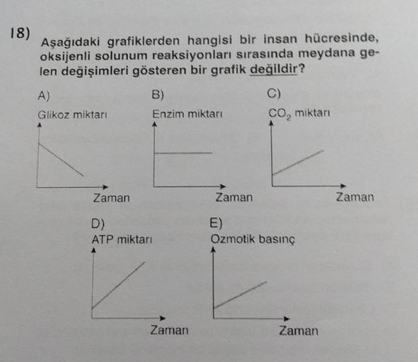 18)
Aşağıdaki grafiklerden hangisi bir insan hücresinde,
oksijenli solunum reaksiyonları sırasında meydana ge-
len değişimleri gösteren bir grafik değildir?
A)
Glikoz miktarı
Zaman
B)
Enzim miktarı
D)
ATP miktarı
meni
Zaman
Zaman
C)
CO₂ miktarı
E)
Ozmotik