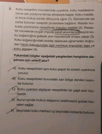 3.
Koku reseptörü hücrelerinde uyarılma, koku maddesinin
hücre zarı yüzeyine temas etmesiyle başlar. Koku madde-
si önce mukus içinde difüzyona uğrar (1). Sonrasında ise
zarda bulunan reseptör proteinlere bağlanır. Madde mu-
kusta çözününce reseptörde impu