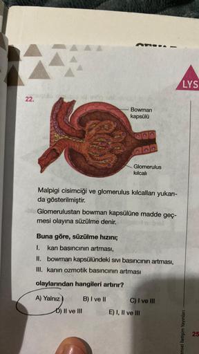 THOUG
22.
Bowman
kapsülü
Glomerulus
kılcalı
Malpigi cisimciği ve glomerulus kılcalları yukarı-
da gösterilmiştir.
Glomerulustan bowman kapsülüne madde geç-
mesi olayına süzülme denir.
D) II ve III
Buna göre, süzülme hızını;
1.
kan basıncının artması,
II. b