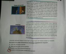 7.
Kitapları Kurtaran Kedi
Küçük Prens
Bir lise öğrencisi olan Rintaro, dedesine ait bir kitabevinin kitaplarla dolu
raflarının arasında günlerini mutsuz ve umutsuz geçirmektedir. Bir gün
nereden geldiği bilinmeyen, konuşan bir kedi ortaya çıkar ve her şey
birdenbire değişmeye başlar. Kitabevinin koridorları arasında ortaya çı-
kan gerçeküstü labirentlere girerek birbirinden fantastik maceralar ya-
şarlar. Tutsak kitapların kaderi, Rintaro ve bu acayip kedinin elindedir
artık. Kedi, kitapta rehber konumundadır. Amacı ise kitapları kötü sahip-
lerinden kurtarmaktır. Bu eser kitapları süs olarak gören okumayan
kişilere, onları kısaltan ve iki dakikada okunur hâle getirmeye çalışanlara
dikkat çekiyor. Kedinin bu insanların kitaplara karşı olan yanlış tutumları-
ni nasıl cesurca eleştirdiğini görüyoruz.
Eserde bir çocuğun gözünden büyüklerin dünyası anlatılır. Sahra Çö-
lü'ne düşen pilotun Küçük Prens'le karşılaşması ile başlayan kitap yirmi
yedi bölümden oluşur. Özellikle Küçük Prens'in yurdundan ayrılıp altı
ayrı gezegene yaptığı gezileri anlatan bölümlerde bazı tipik yetişkin ya-
şam biçimlerinin eleştirisi yapılır. Küçük bir çocuğun gözünden paranın,
unvanın ve mevkinin, dünyada değer verilen her şeyin aslında ne kadar
değersiz olduğunu gözler önüne seriyor ve insanlara anlatmaya çalışıyor
yazar. Küçük Prens bütün bu değersiz varlıkları ardında bırakarak ve as-
linda yeni insanlar tanımak için geldiği bu çölde yorgun düşerek geldiği
yere dönüyor.
Yukarıdaki metinlerde "Kitapları Kurtaran Kedi" ve "Küçük Prens" adlı kitaplara ait bilgiler yer almaktadır.
Buna göre bu iki kitabın kahramanlarının ortak özelliği aşağıdakilerden hangisidir?
A) İnsan dışı varlıklardan oluşmaları
B) Başka gezegenlerden Dünya'ya gelmeleri
C) insanları eleştirirken korkusuzca davranmaları
insanların içinde bulundukları yanlışlara dikkat çekmeleri