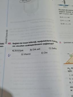 daki
sin-
Nitelik Yayıncılık
40. Sağlıklı bir insan böbreği, aşağıdakilerin hangis 2. Şekildeki s
nin vücuttan uzaklaştırılmasını sağlamaz?
C) Safra
B) Ürik asit
A) Amonyak
c
D) Vitamin
Şekil 1
Üç yayın da uzama
yayların kuvvet s
dir? (Yayların ağırl
A) K>L>M
C) K>L=M
E) M>L>K
E) Üre
m₂ ki
için;
1. m
nic
SI
2