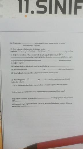 11.SINIF
14-)Tripsinojeni
..enzimi aktifleştirir. Aktivatör olan bu enzim
mukozasından salgılanır.
15-)ince bağırsak villuslarından direkt kana emilen
maddeler
galatlar
16-)Yağ monomerleri, villus hücrelerinde öncelikle suda çözünen
.............moleküller