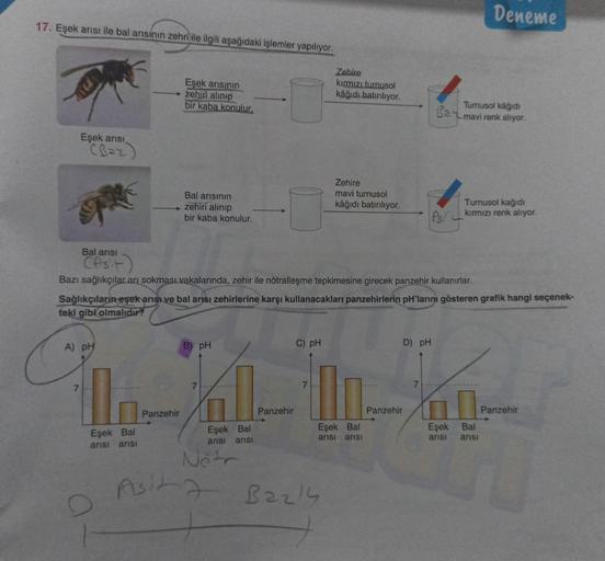 17. Eşek arısı ile bal arısının zehri ile ilgili aşağıdaki işlemler yapılıyor.
Eşek arısı
A) pH
7
In
Eşek arısının
zehiri alınıp
bir kaba konulur,
Bal arısının
→ zehiri alınıp
Eşek Bal
arısı arısI
bir kaba konulur.
Panzehir
Bal arısı
CAsit
Bazı sağlıkçılar