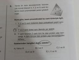 eri-
var
11
9.
Yanda bir kara ekosisteminde bulunan
çok hücreli ökaryot X, Y, Z ve Q canlı tür-
lerinin besin piramidindeki yerleri gösteril-
miştir.
Buna göre, besin piramidindeki bu canlı türleriyle ilgili,
I. Y, Z ve Q canlı türlerinin depo polisakkarit çeşidi aynı-
dır.
X
II. Y ve Z canlı türleri aynı âlemde yer alabilir.
III. Y canlı türünün Z canlı türü ile olan protein yapı ben-
zerliği, X canlı türüyle olan protein yapı benzerliğinden
fazladır.
ifadelerinden hangileri doğru olabilir?
A) Yalnız III
D) II ve III
B) I ve II
C) I ve III
E) I, II ve III