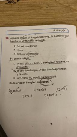 B Kitapçığı
35. Aşağıda sağlıklı bir insanin böbrekleri ile bağlantılı olan
bazı kanal ve damarlar verilmiştir.
A: Böbrek atardamarı
B: Üreter
C: Böbrek toplardamarı
Bu yapılarla ilgili,
1. A'daki glikoz miktarı, C'deki glikoz miktarından
yüksektir.
B'deki üre derişimi, A'daki üre derişiminden
yüksektir.
III. Alyuvarlar üç yapıda da bulunabilir.
ifadelerinden hangileri doğrudur?
A) Yalnız I
D) I ve III
B) Yalnız II
E) I, Ilve III
C) Ive II