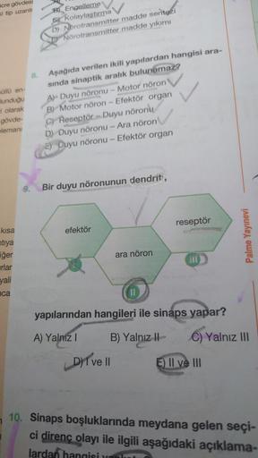 cre gövdesi
xi tip uzantı
üllü en-
lunduğu
i olarak
gövde-
elemanı
kısa
htıya
iğer
urlar
yali
ca
8.
B) Engelleme
Kolaylaştırma
D) Norotransmitter
Nörotransmitter
Aşağıda verilen ikili yapılardan hangisi ara-
sında sinaptik aralık bulunamaz?
madde sentezi
m