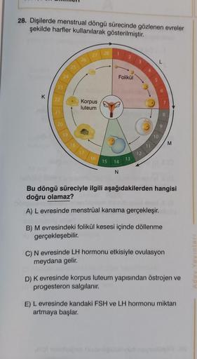 28. Dişilerde menstrual döngü sürecinde gözlenen evreler
şekilde harfler kullanılarak gösterilmiştir.
23
K 22
21
20
19
18
26
27
Korpus
luteum
16
28
2
Folikül
15 14
N
13
12
10
9
Bu döngü süreciyle ilgili aşağıdakilerden hangisi
doğru olamaz?
A) Levresinde m