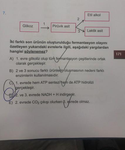 7.
Glikoz
Pirüvik asit
2
Etil alkol
Laktik asit
İki farklı son ürünün oluşturulduğu fermantasyon olayını
özetleyen yukarıdaki evrelerle ilgili, aşağıdaki yargılardan
hangisi söylenemez?
A) 1. evre glikoliz olup tüm fermantasyon çeşitlerinde ortak
olarak ge