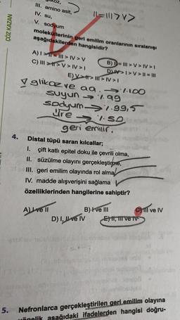 ÇÖZ KAZAN
III. amino asit,
IV. su,
V. sodyum
moleküllerinin geri emilim oranlarının sıralanışı
aşağıdakilerden hangisidir?
A) 1>1=1> IV>V
C) III >>V> NV>I
E) V >> III > IV>I
✓ glikoz ve aa. 1.100
-shombe suyun
sodyum
re
A) Love II
11=111>
geri emilir
allhov sas
4. Distal tüpü saran kılcallar;
almthey rebide
B) = III >V> IV>I
DIV>1>V> 11 = |||
I. çift katlı epitel doku ile çevrili olma,
II. süzülme olayını gerçekleştirme,
III. geri emilim olayında rol alma
IV. madde alışverişini sağlama
özelliklerinden hangilerine sahiptir?
D) I, II ve IV
COLE
199
1.99,5
SO
B) I've III
Cill ve IV
E) II, III ve TV
diferemetale
5. Nefronlarca gerçekleştirilen geri emilim olayına
yönelik aşağıdaki ifadelerden hangisi doğru-