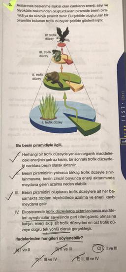 3.
Aralarında beslenme ilişkisi olan canlıların enerji, sayı ve
biyokütle bakımından oluşturdukları piramide besin pira-
midi ya da ekolojik piramit denir. Bu şekilde oluşturulan bir
piramitte bulunan trofik düzeyler şekilde gösterilmiştir.
IV. trofik
düzey
III. trofik
düzey
II. trofik
düzey
1. trofik düzey
Bu besin piramidiyle ilgili,
Herhangi bir trofik düzeyde yer alan organik maddeler-
deki enerjinin çok az kısmı, bir sonraki trofik düzeyde-
ki canlılara besin olarak aktarılır.
Besin piramidinin yalnızca birkaç trofik düzeyle sınır-
lanmasına, besin zinciri boyunca enerji aktarımında
meydana gelen azalma neden olabilir.
III. Besin piramidini oluşturan trofik düzeylere ait her ba-
samakta toplam biyokütlede azalma ve enerji kaybı
meydana gelir.
IV. Ekosistemde trofik düzeylerde aktarılan besin madde-
leri ayrıştırıcılar sayesinde geri dönüşümlü olmasına
karşın, enerji akışı alt trofik düzeyden en üst trofik dü-
zeye doğru tek yönlü olarak gerçekleşir.
ifadelerinden hangileri söylenebilir?
Ave II
BI ve III
DY1, III ve IV
DYTI
C) II ve III
E) II, III ve IV
Large TEST • (Zor)