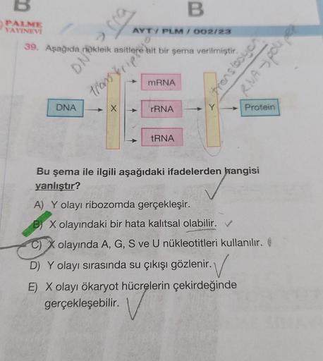 PALME
YAYINEVİ
DNA
BUJNO
39. Aşağıda nükleik asitlere ait bir şema verilmiştir.
transfor
X
AYTY PLM/002/23
mRNA
B
rRNA
NA
vatico, svaly
Protein
Bu şema ile ilgili aşağıdaki ifadelerden hangisi
yanlıştır?
A) Y olayı ribozomda gerçekleşir.
B) X olayındaki bi